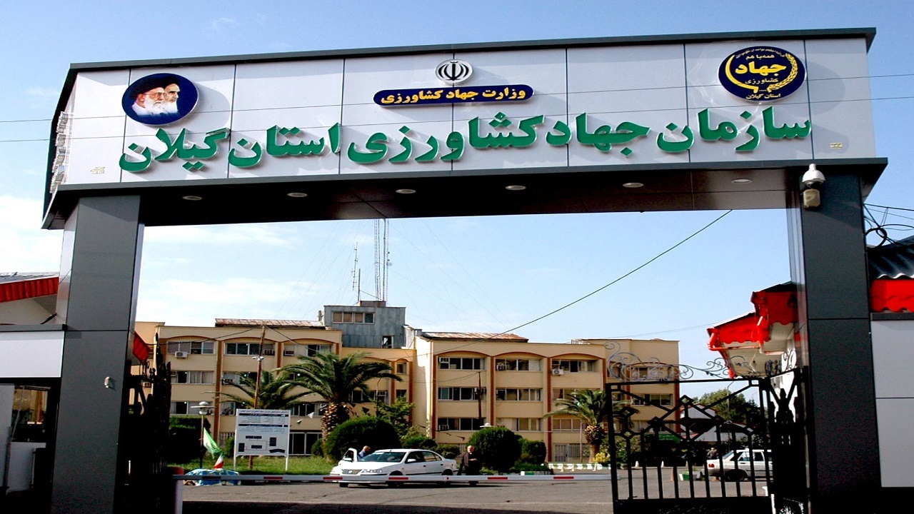 آغاز توزیع حواله کود کشاورزی در گیلان