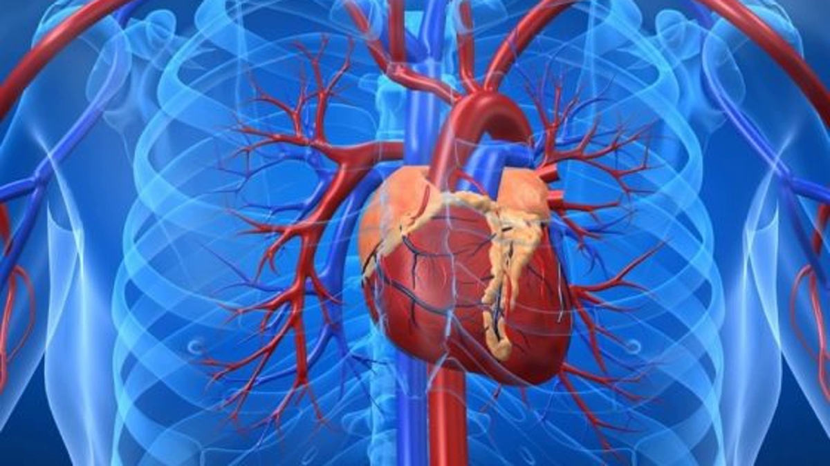 جایگاه اعمال یداوی در طب سنتی