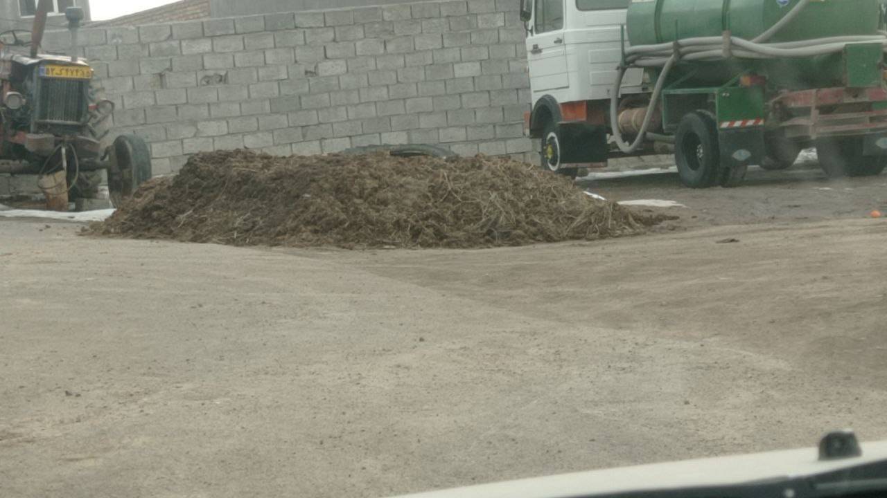 انباشت فضولات حیوانی