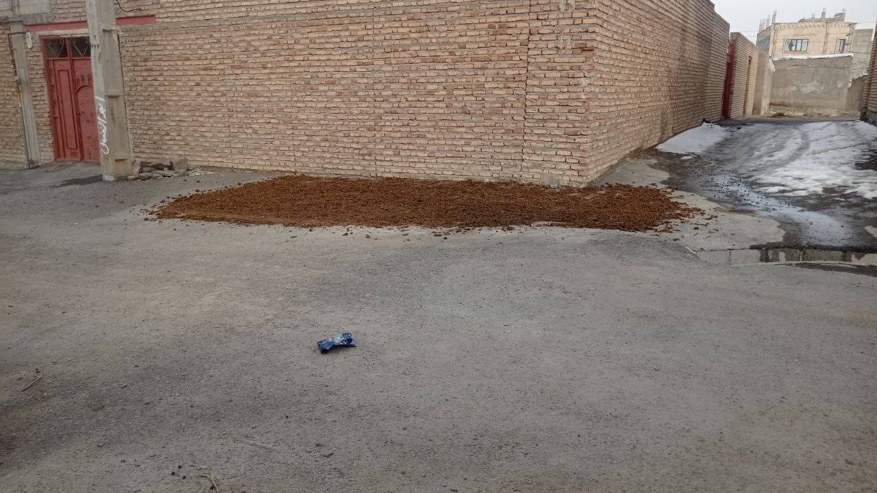 فضولات حیوانی