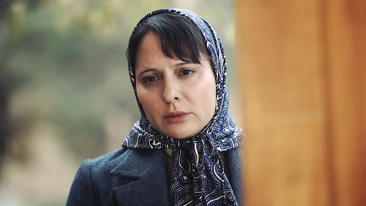«پروین» برگزیده داوران چشم‌انداز پاسداشت زبان فارسی