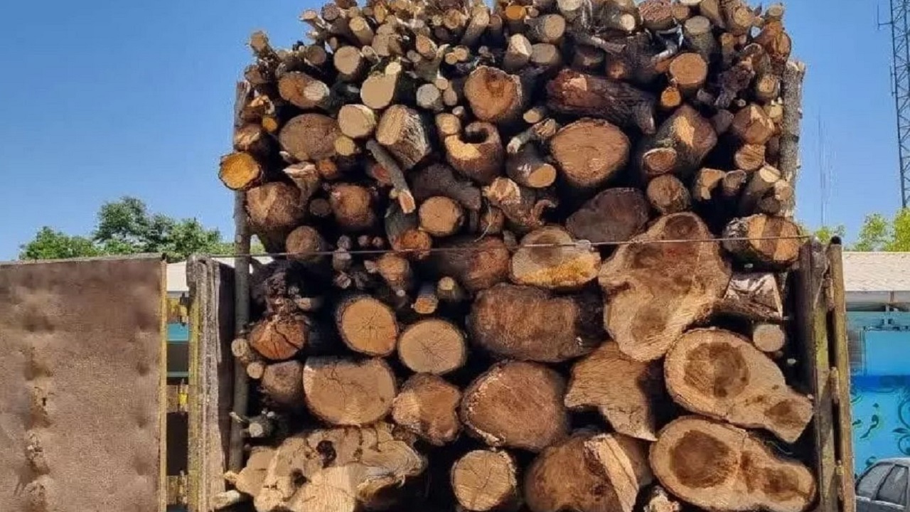 قاچاق بیش از ۱۶ تن چوب جنگلی در آستارا