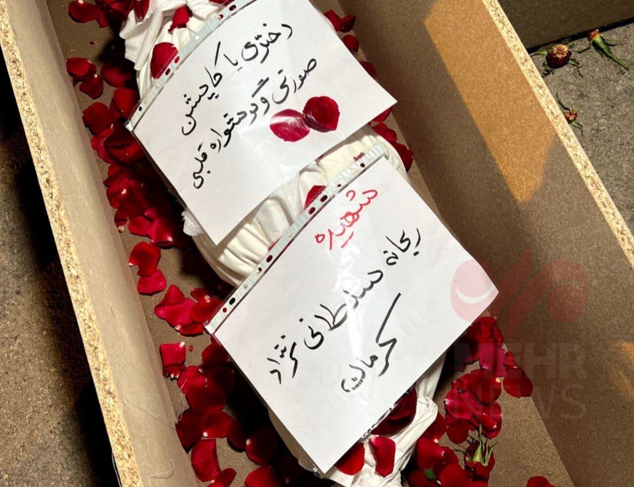 هدیه دادن پدر داغدار ریحانه کاپشن صورتی به بچه‌ها در حاشیه راهپیمایی ۲۲ بهمن +فیلم