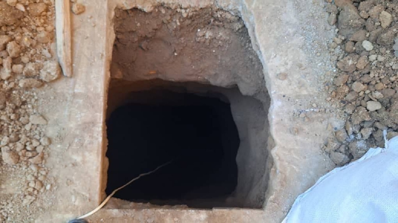 موش کور در تله افتاد!