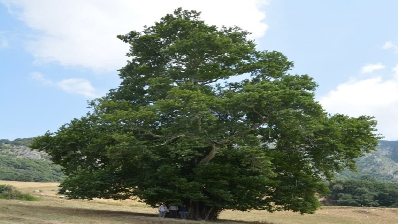 ثبت ملی ۳ اثر طبیعی استان گلستان