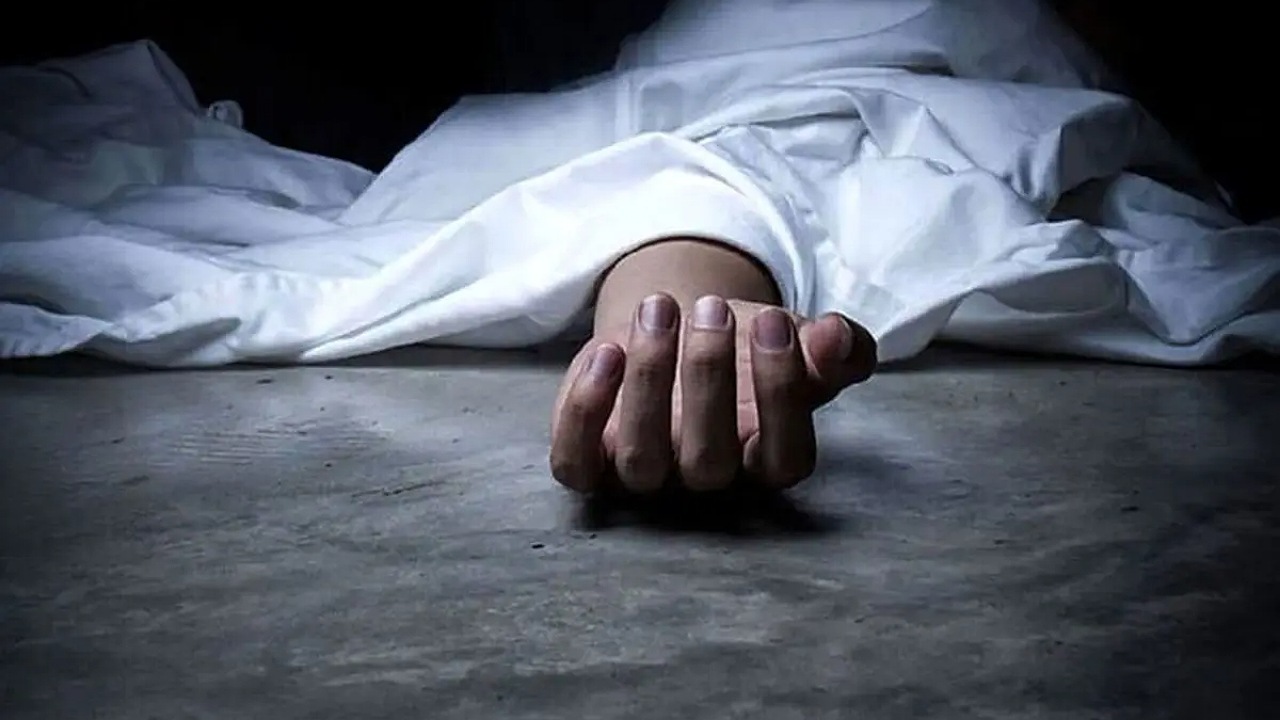 این موجودات آدمکش‌ترین موجودات روی زمین هستند + فیلم