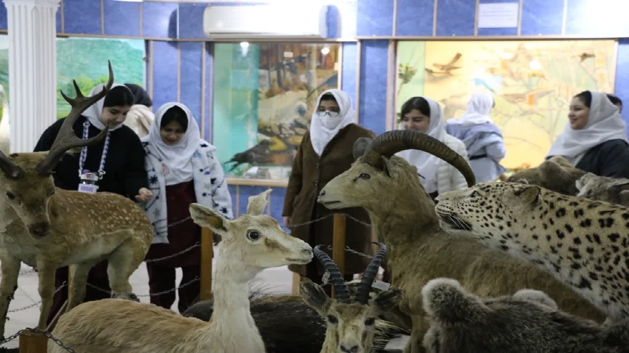 بازدید بیش از ۱۵۰۰نفر از موزه تاریخ طبیعی و تنوع زیستی گیلان