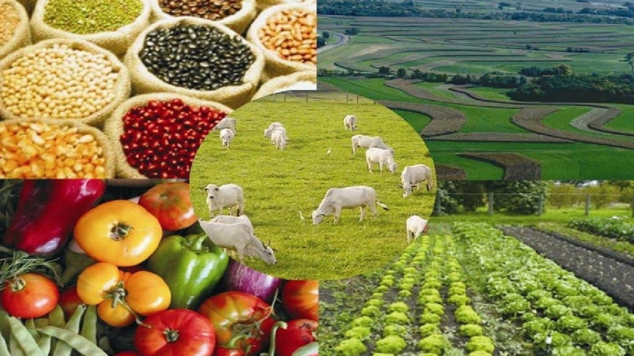 برگزاری اولین دوره از رویدادهای نمادیران در حوزه غذا و کشاورزی