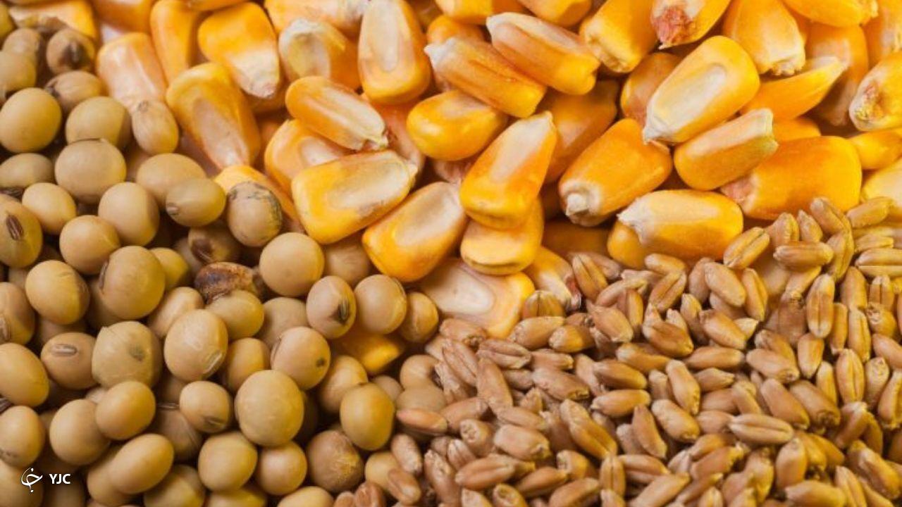 توزیع ۱۰۶ هزار و ۳۰۰ تن نهاده دام و طیور در آذربایجان‌غربی
