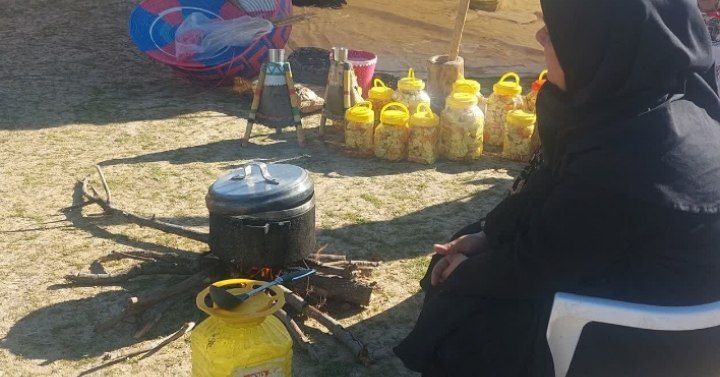 برپایی جشنواره