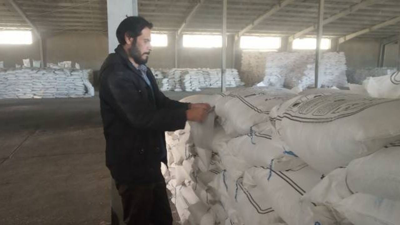 نمونه برداری از کود سولفات پتاسیم گرانوله در کرمان