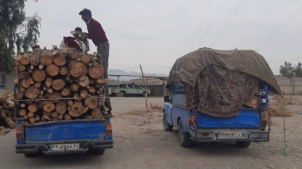کشف و توقیف۶۰۰۰ کیلو چوب قاچاق در شهرستان ارزوئیه 