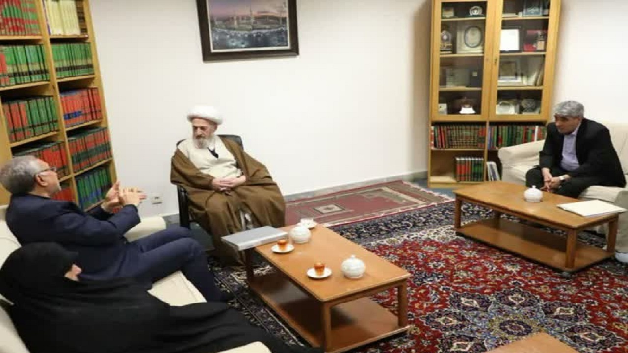 تاکید آیت الله سبحانی بر مبارزه جدی با سقط جنین
