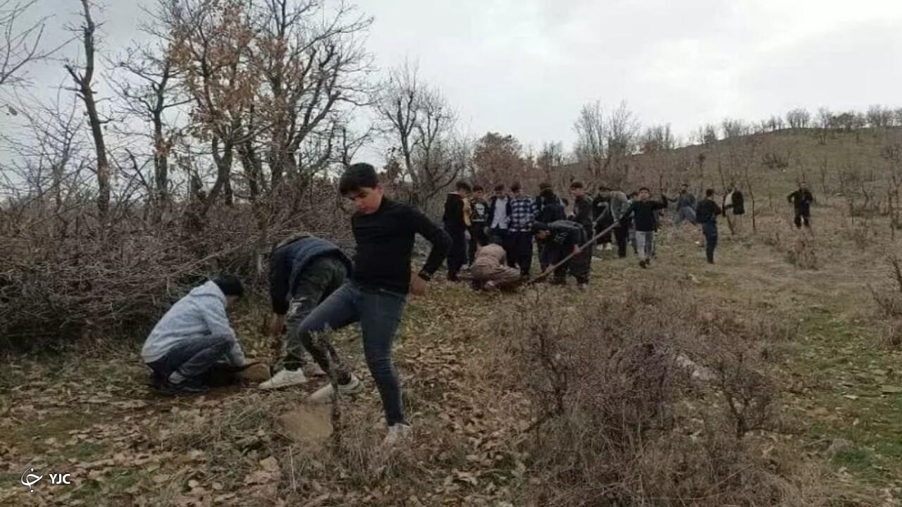 ۲ هکتار از جنگل‌های سردشت بذرکاری و نهال‌کاری شد