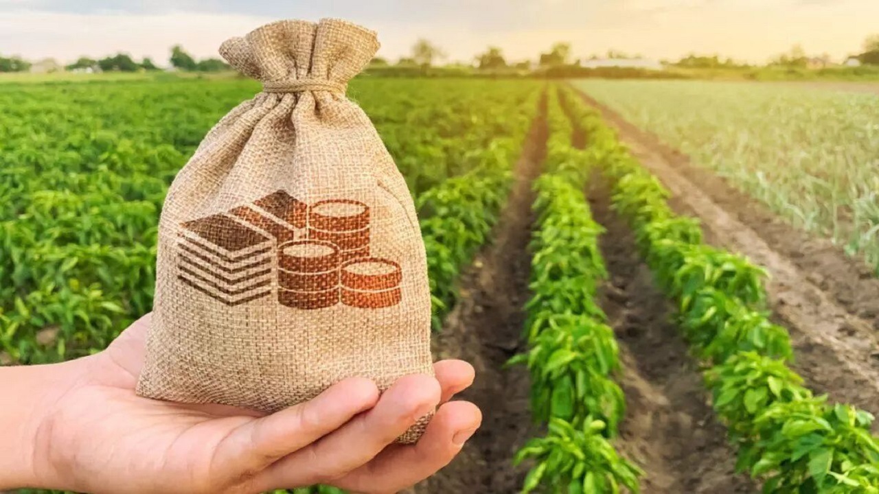 ۲۸ هزار میلیارد ریال سرمایه‌گذاری برای توسعه بخش کشاورزی سیب وسوران