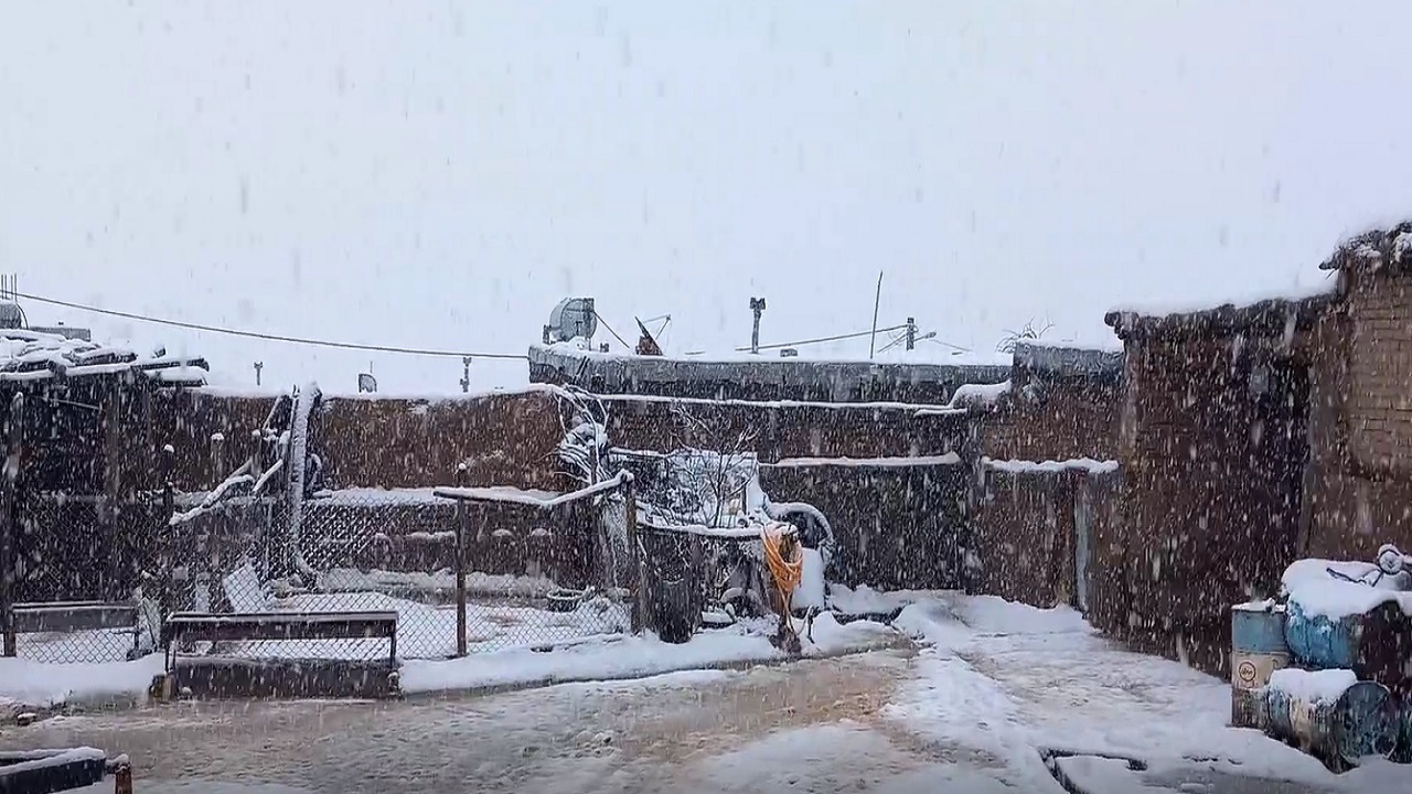 بارش برف روستای حصار را سفیدپوش کرد + فیلم