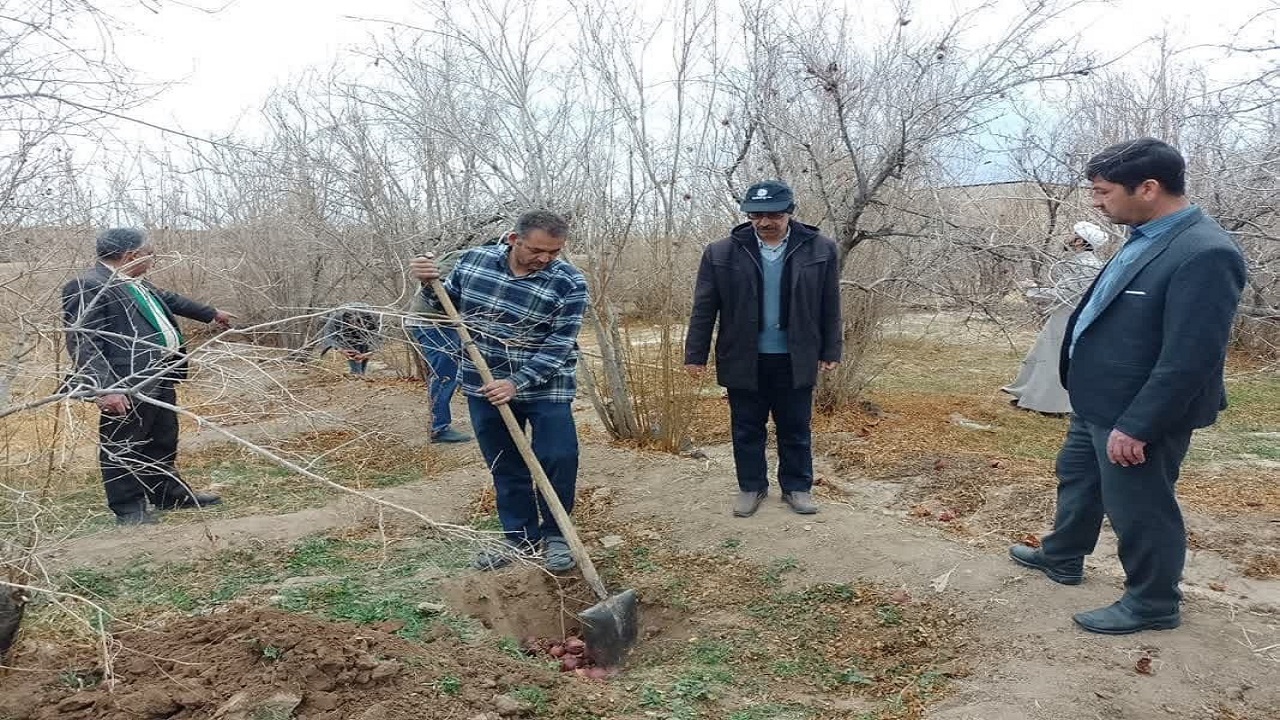 همایش همگانی بهداشت و پاکسازی باغات شهرستان مهریز