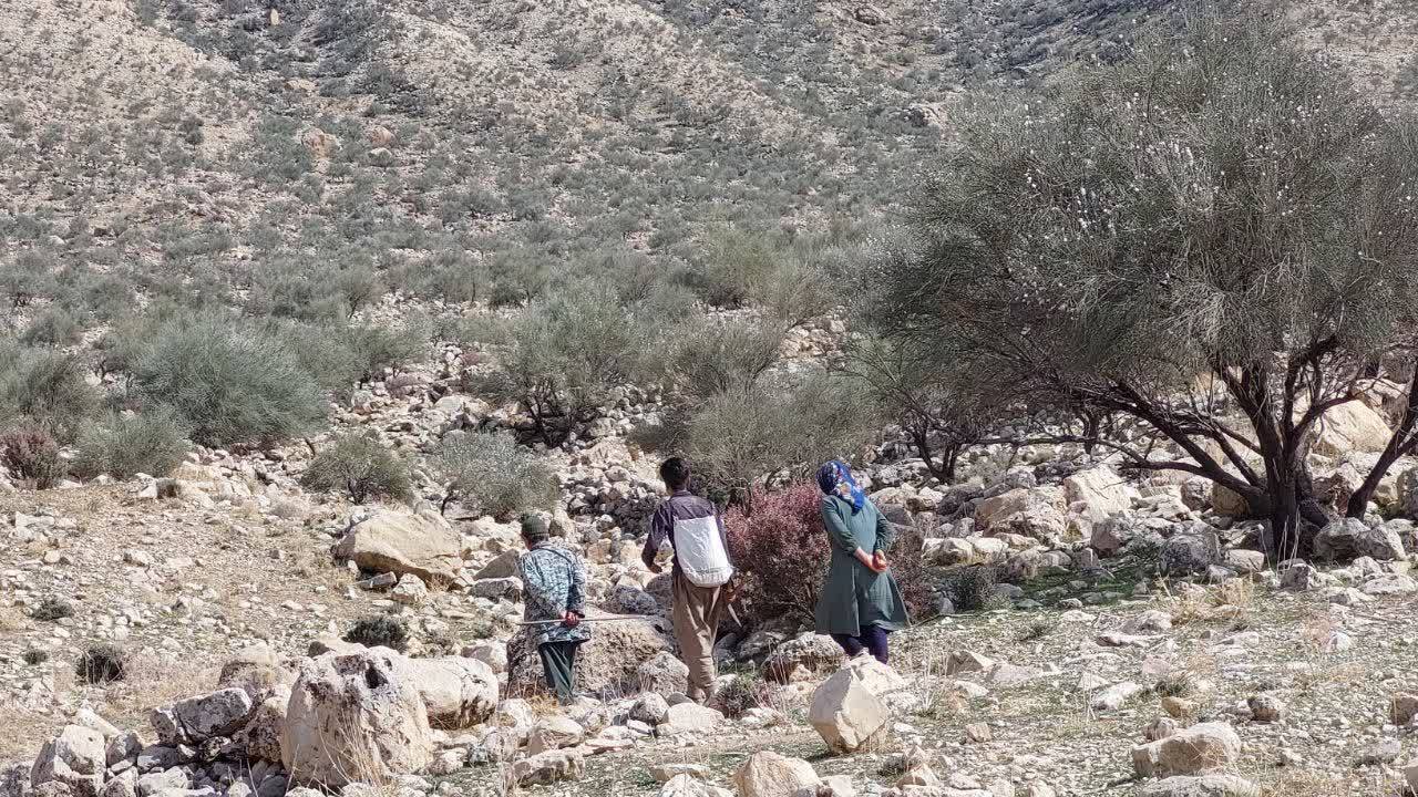 محیط زیست