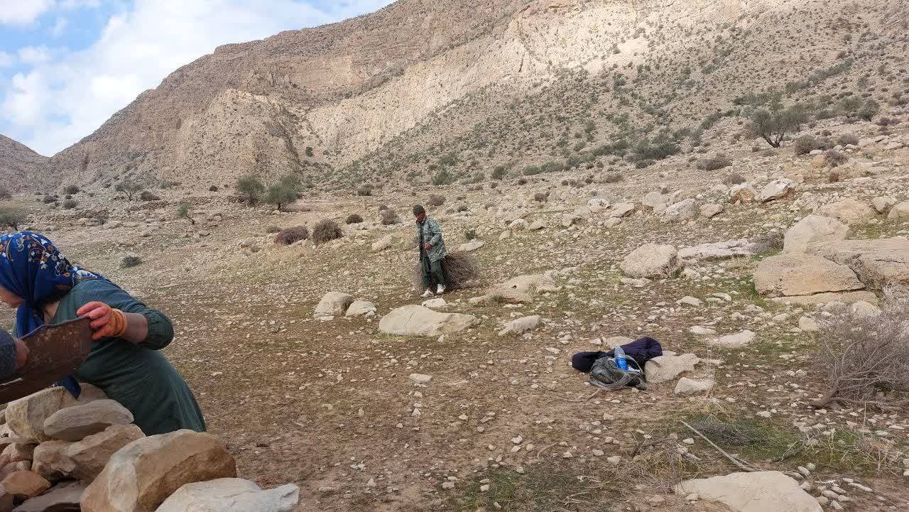 روستا