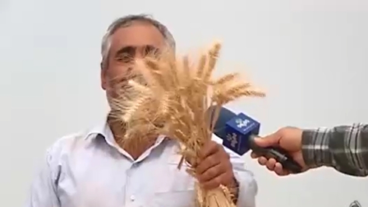 چگونگی واردات برنج به کشور + فیلم