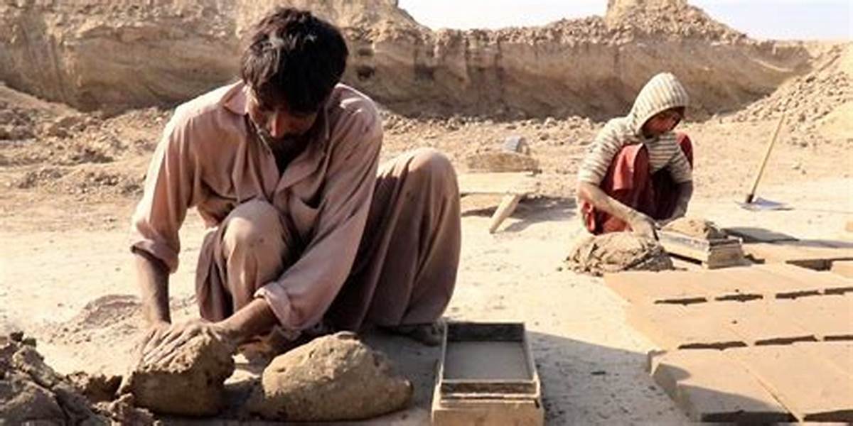 مدیرکل اتباع استانداری کرمان پای صحبت اتباع خارجی