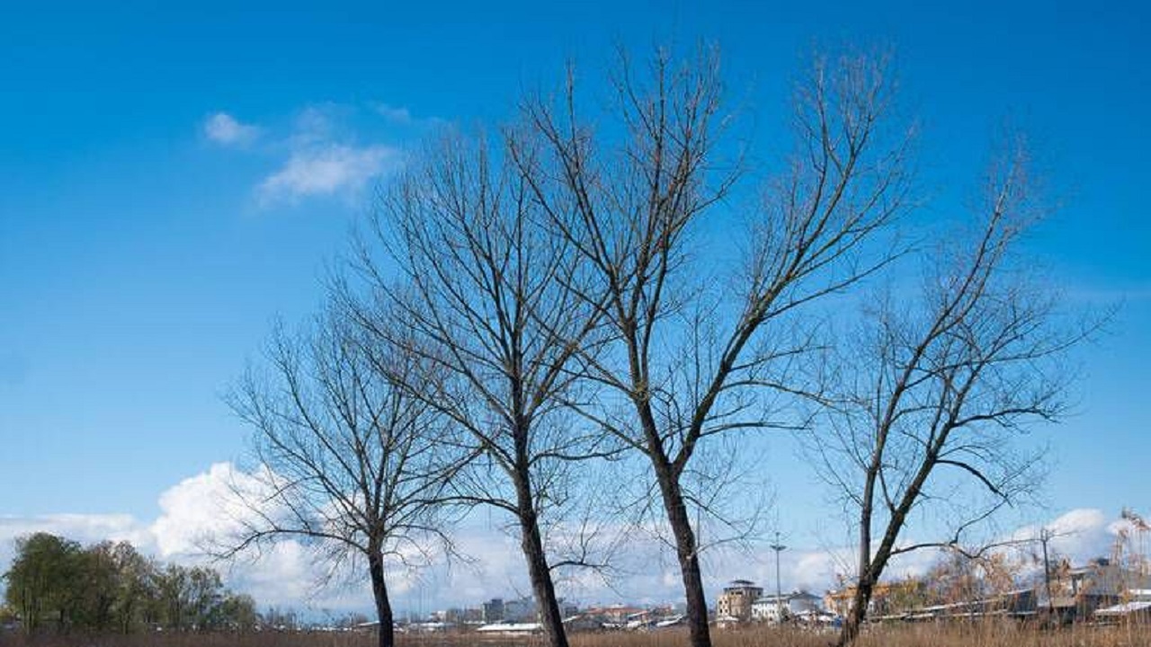 کاهش ابرناکی در آسمان گیلان
