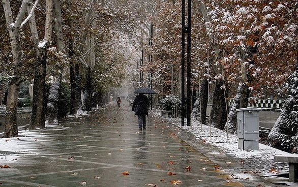کردستان رکورددار بیشترین میزان بارش ها در کشور