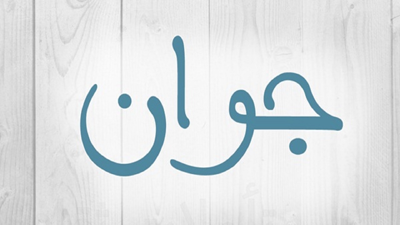 برگزاری بیش از ۸۰ برنامه به مناسبت هفته جوان در کردستان