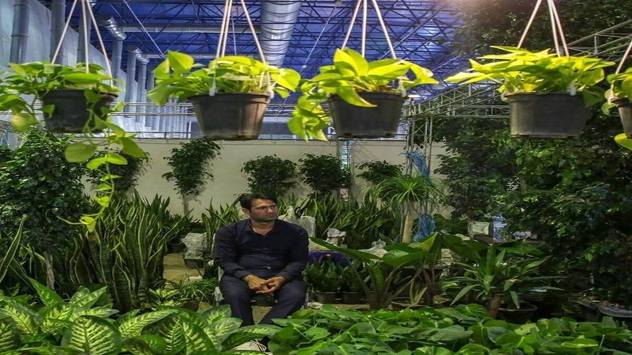 برپایی نمایشگاه گل و گیاه در استان قزوین