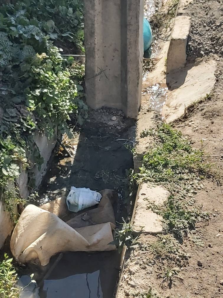 تیر چراغ برق در وسط جوی آب