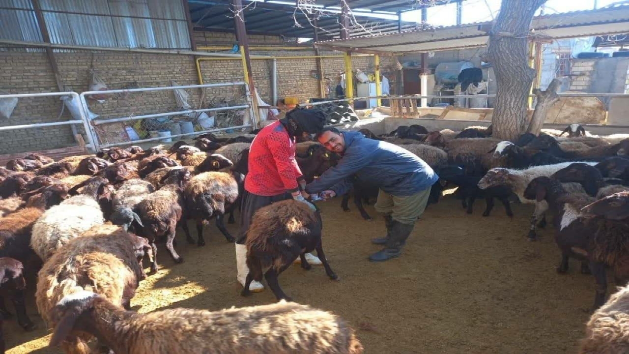 برگزاری اردوی جهادی دامپزشکی در شهرستان البرز