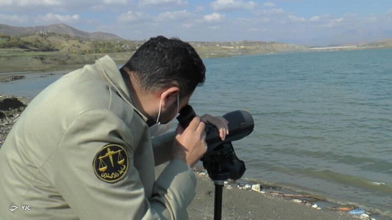 سرشماری زمستانی پرندگان در ۷ سایت مهاباد آغاز شد
