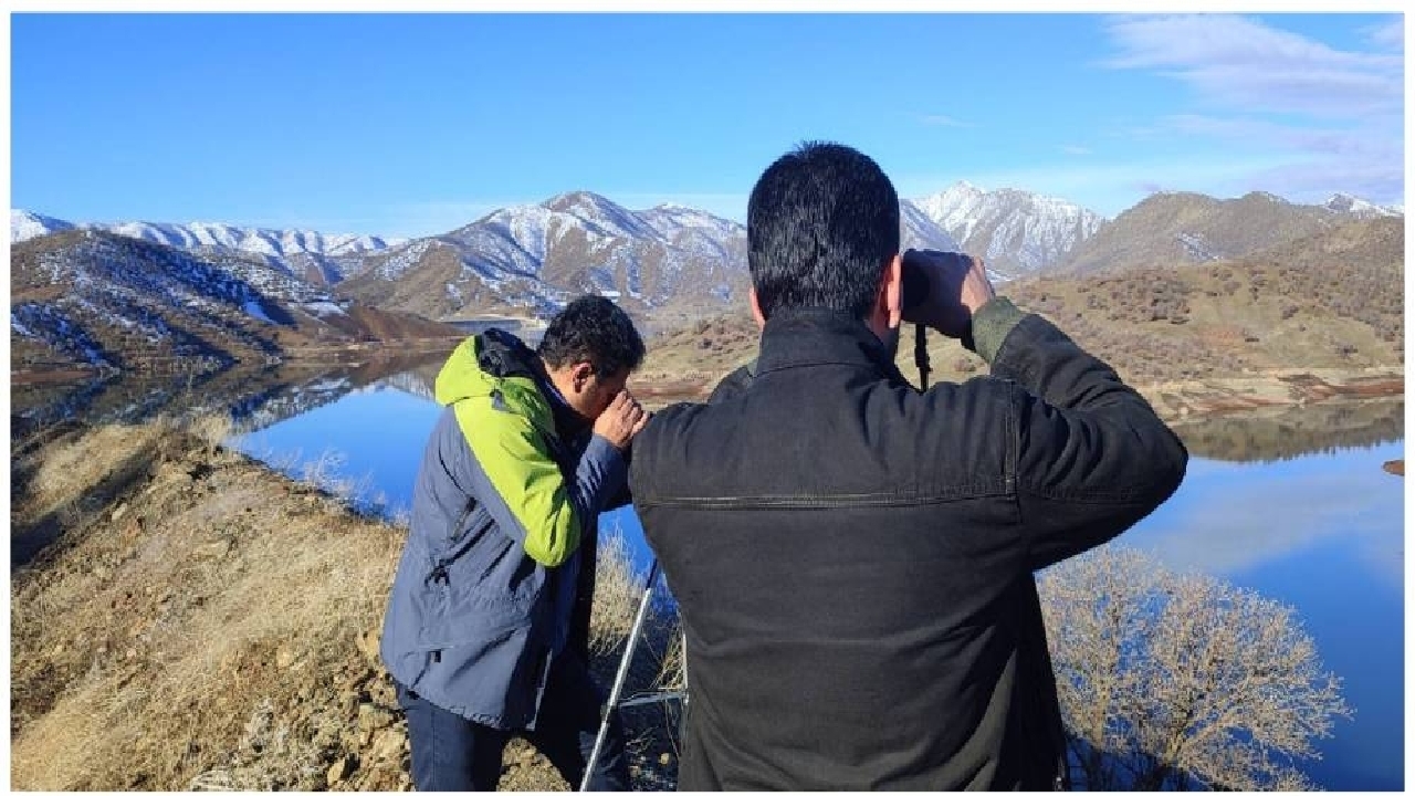 آغاز سرشماری پرندگان در ۱۴ سایت منابع آبی کردستان
