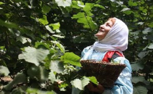 ثبت ۳ رویداد گردشگری قزوین در تقویم رویدادهای ملی ثبت ۳ رویداد گردشگری قزوین در تقویم رویدادهای ملی