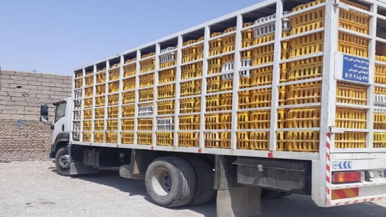 کشف چهار تن مرغ غیر بهداشتی در دلیجان