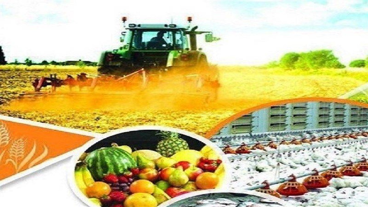 ️پرداخت ۷۴ میلیارد تسهیلات مشاغل خانگی در حوزه کشاورزی سیستان و بلوچستان