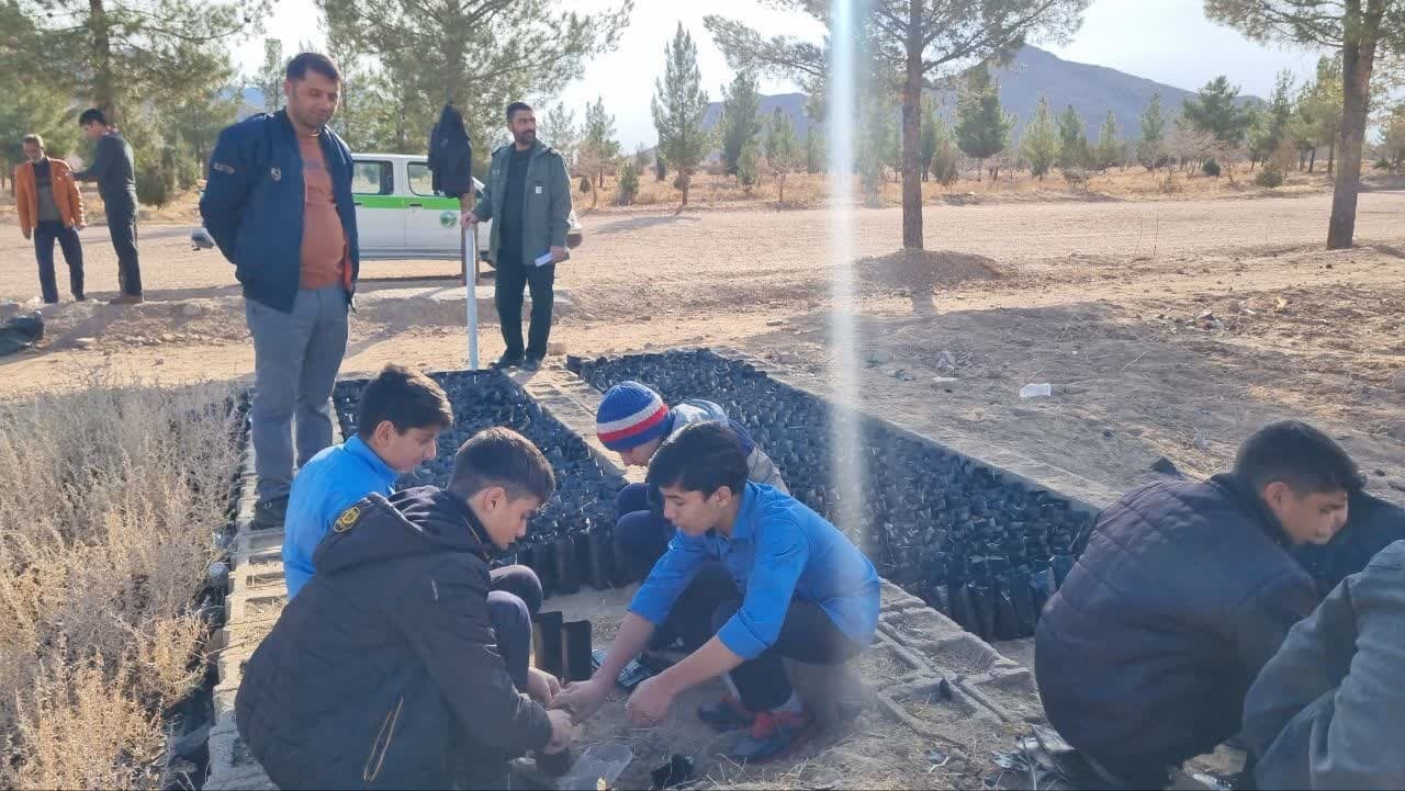 دانش آموزان قاینی ۱۰ هزار نهال گلدانی کاشتند