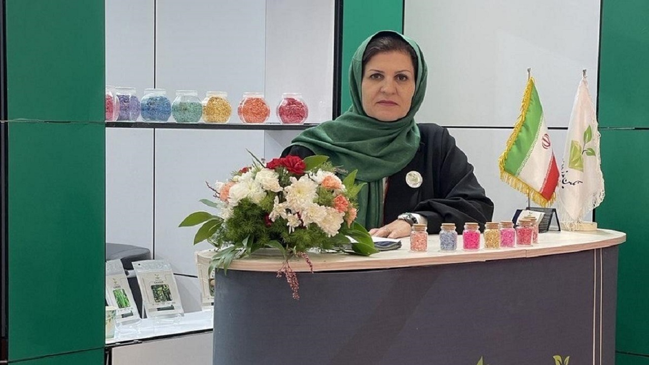 ثبت و تولید ۶۷ رقم بذر هیبرید صیفی‌جات توسط محققان ایرانی