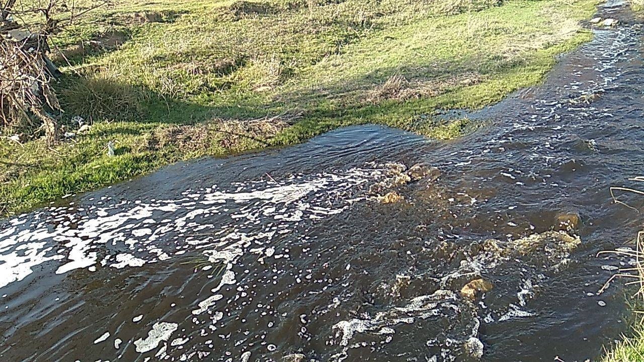 رنجش اهالی روستای روتوند از رهاسازی آب فاضلاب کارخانه‌ای در رودخانه + تصاویر