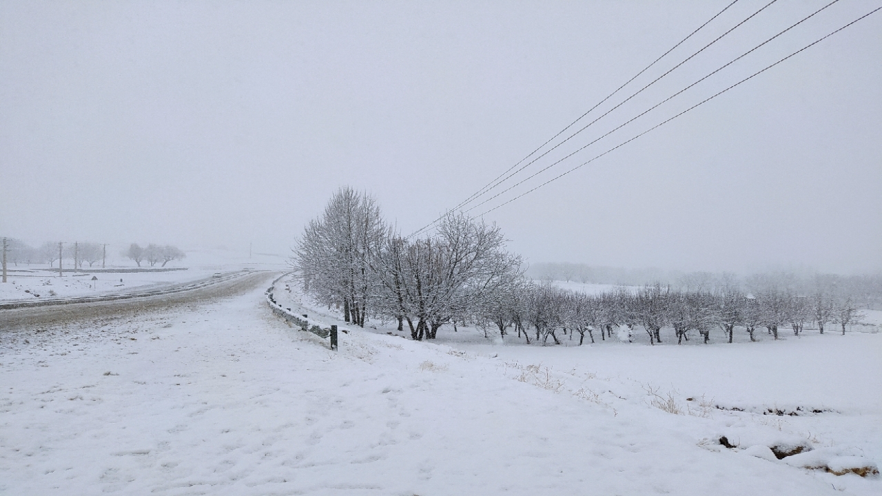 بارش زیبای برف زمستانی در فارسان به روایت تصویر