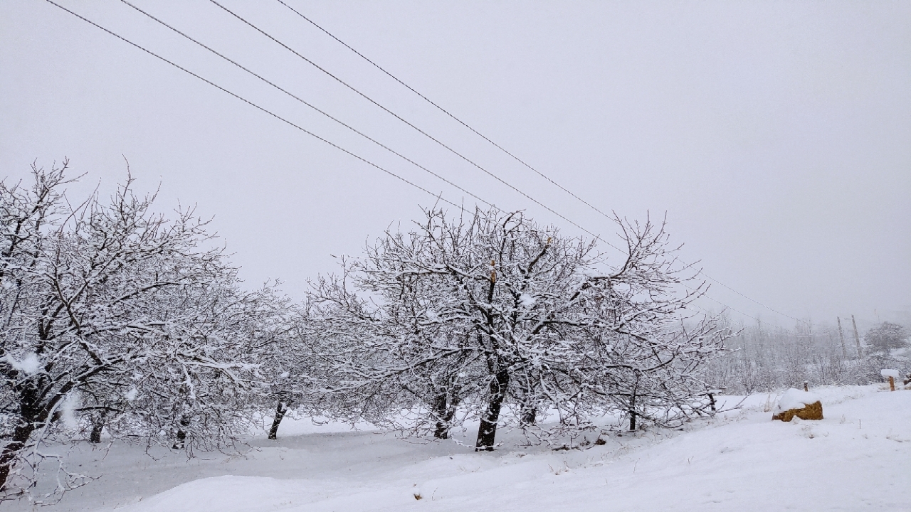 بارش ۵ سانتی متری برف در فارسان + فیلم