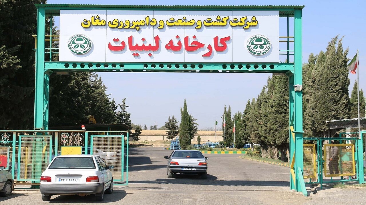 تولیدات صنایع تبدیلی کشت و صنعت مغان به ۲۵۰ هزار تن رسید
