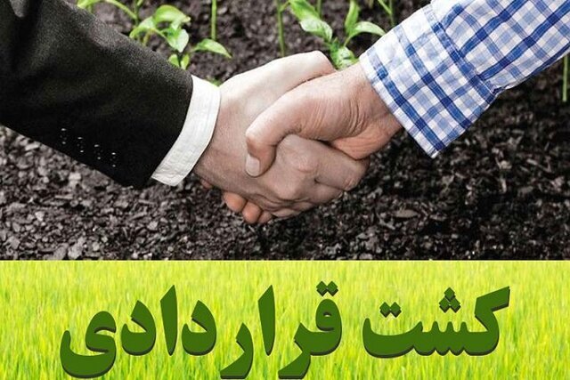طرح کشت قراردادی در فارس تا پایان بهمن‌ماه تمدید شد