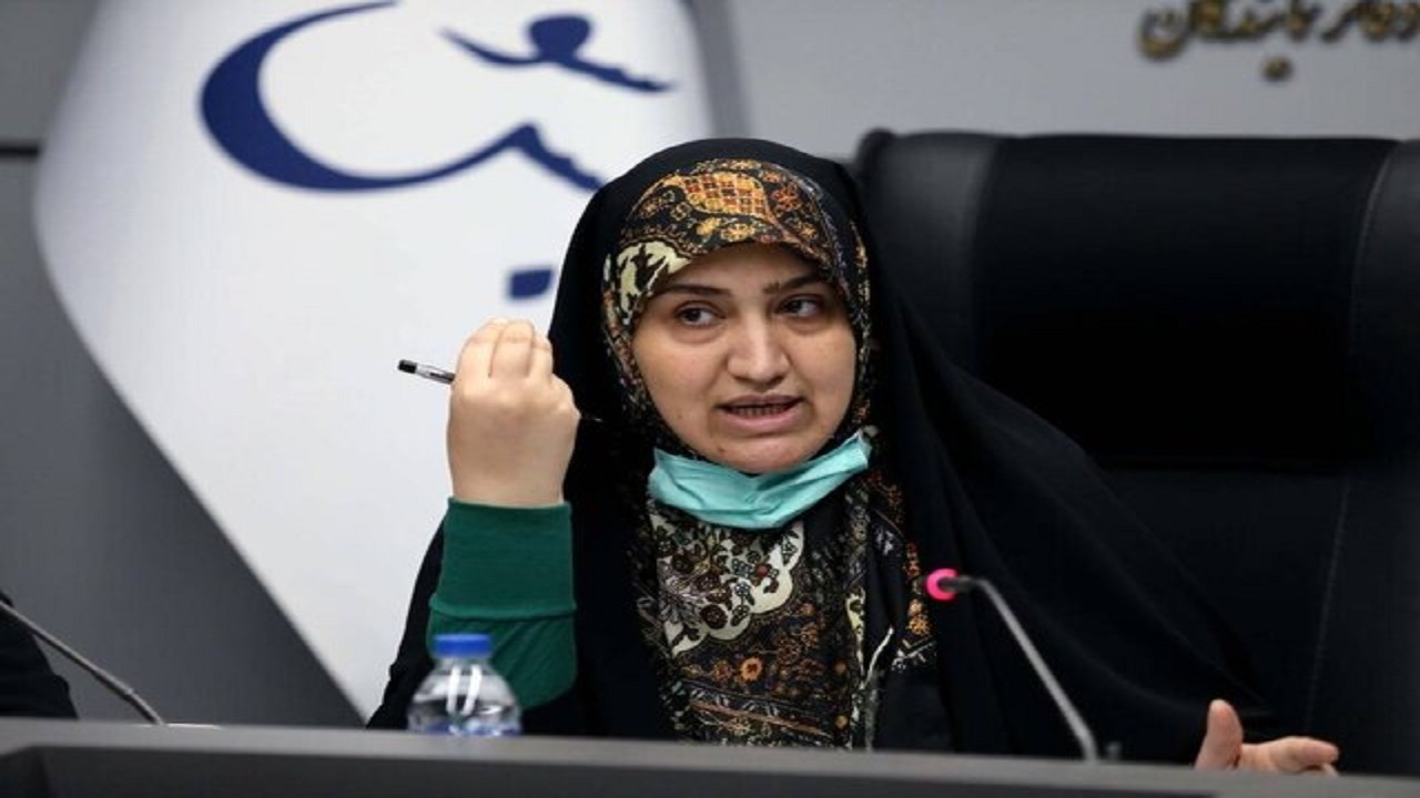 دلایل اصلی آلودگی هوا از نظر رئیس فراکسیون محیط زیست مجلس