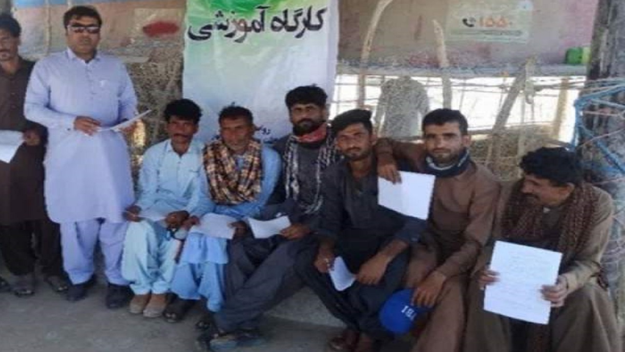 کارگاه آموزشی نجات پستانداران دریایی در سیستان و بلوچستان