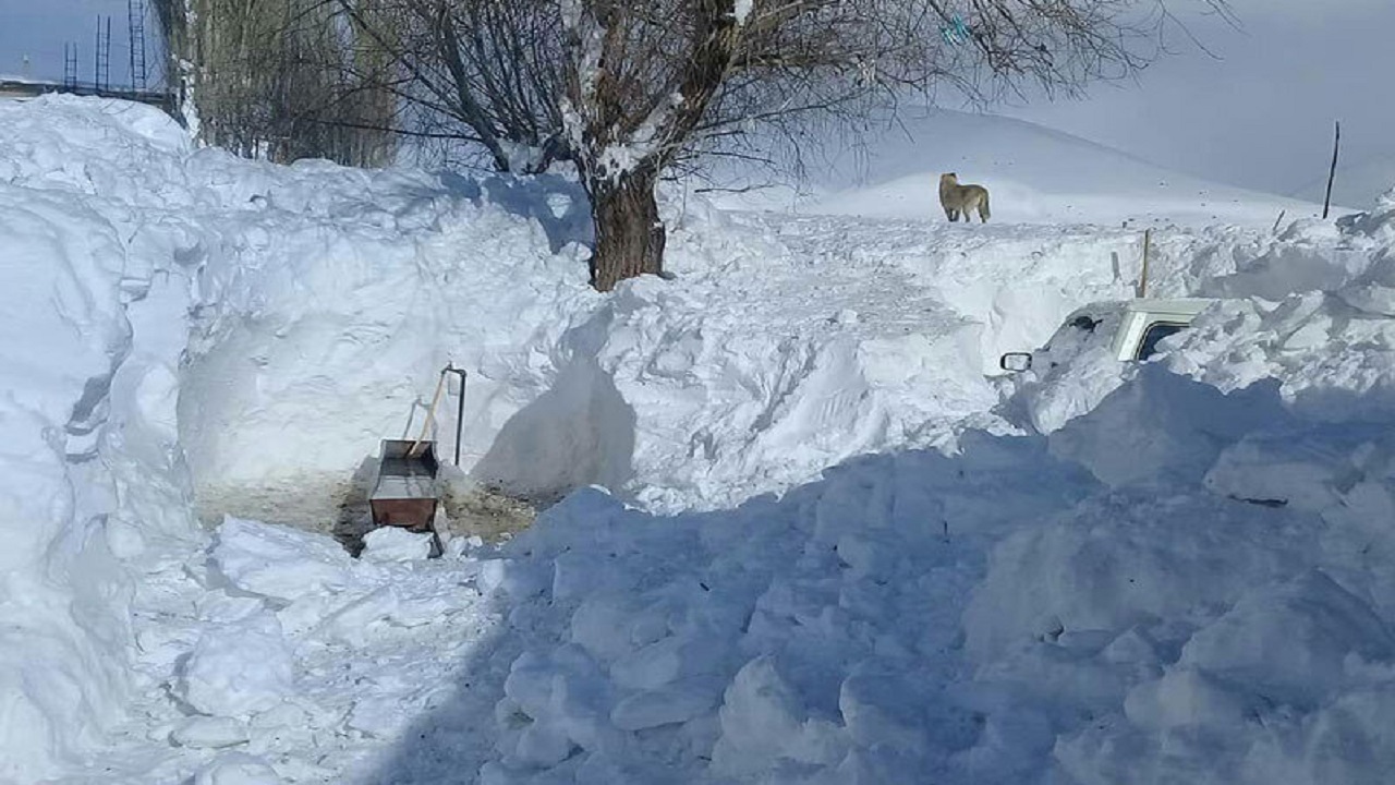 ارتفاع برف در روستای میان‌رودان خلخال به ۲ متر رسید