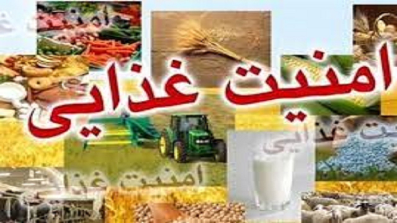 طرح امنیت غذایی کودکان در چابهار اجرایی شد
