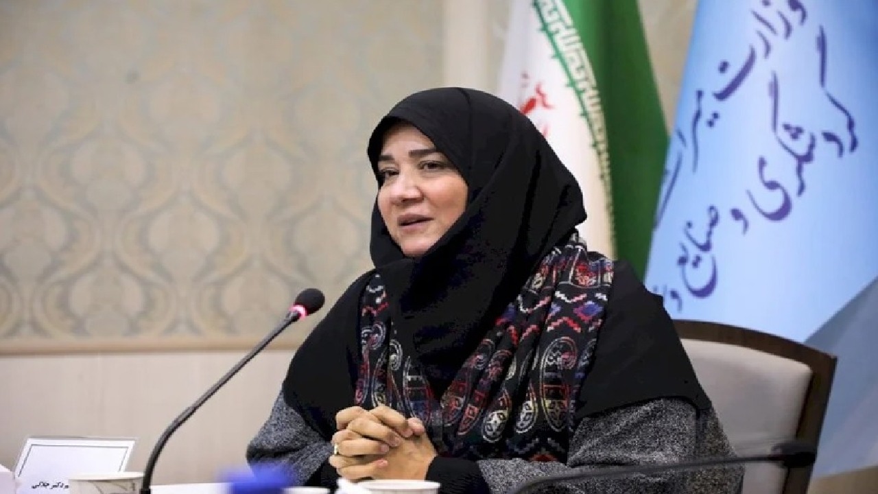 واکنش معاون صنایع دستی وزارت گردشگری به حضور پاکستان در جشنواره «سرو سیمین ۸»