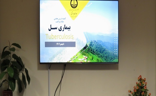 کمیته درون بخشی بیماری سل