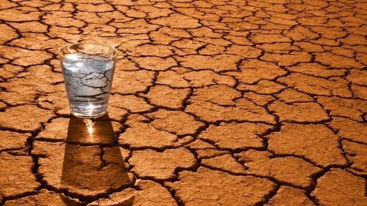 کاهش آثار خشکسالی در سمنان نیازمند مطالعات راهبردی است
